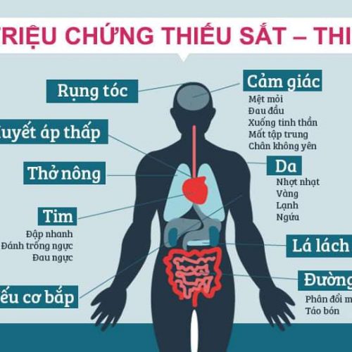Viên uống bổ sung sắt Sawai Nhật bản PTP100 50mg 100 viên